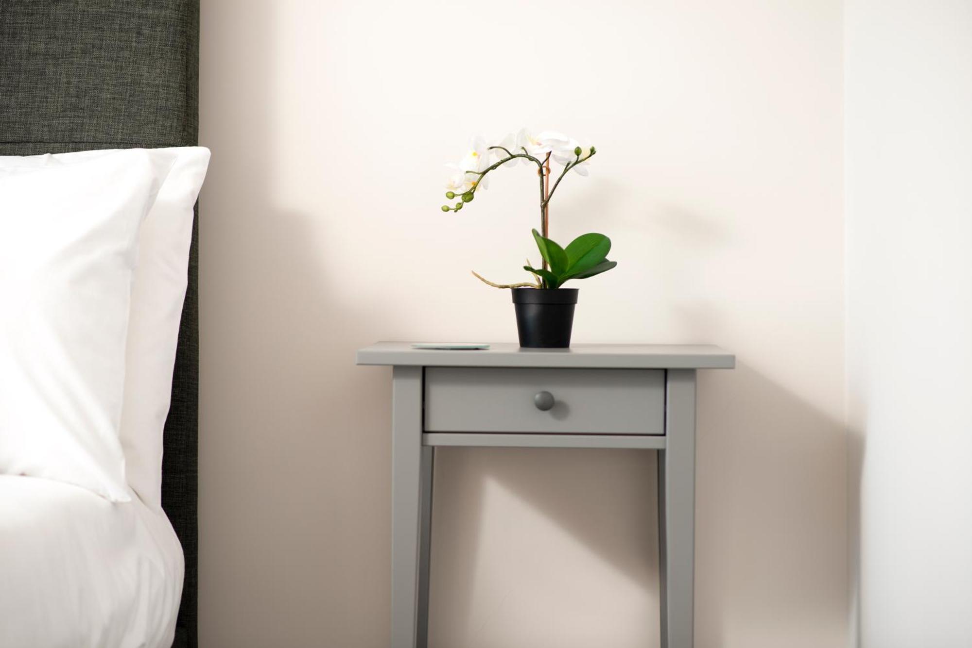 Morley Cottage - Modern 3 Bedroom, 2 Bathroom House With Garden In Southsea, ポーツマス エクステリア 写真